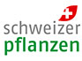 logo_plantiance